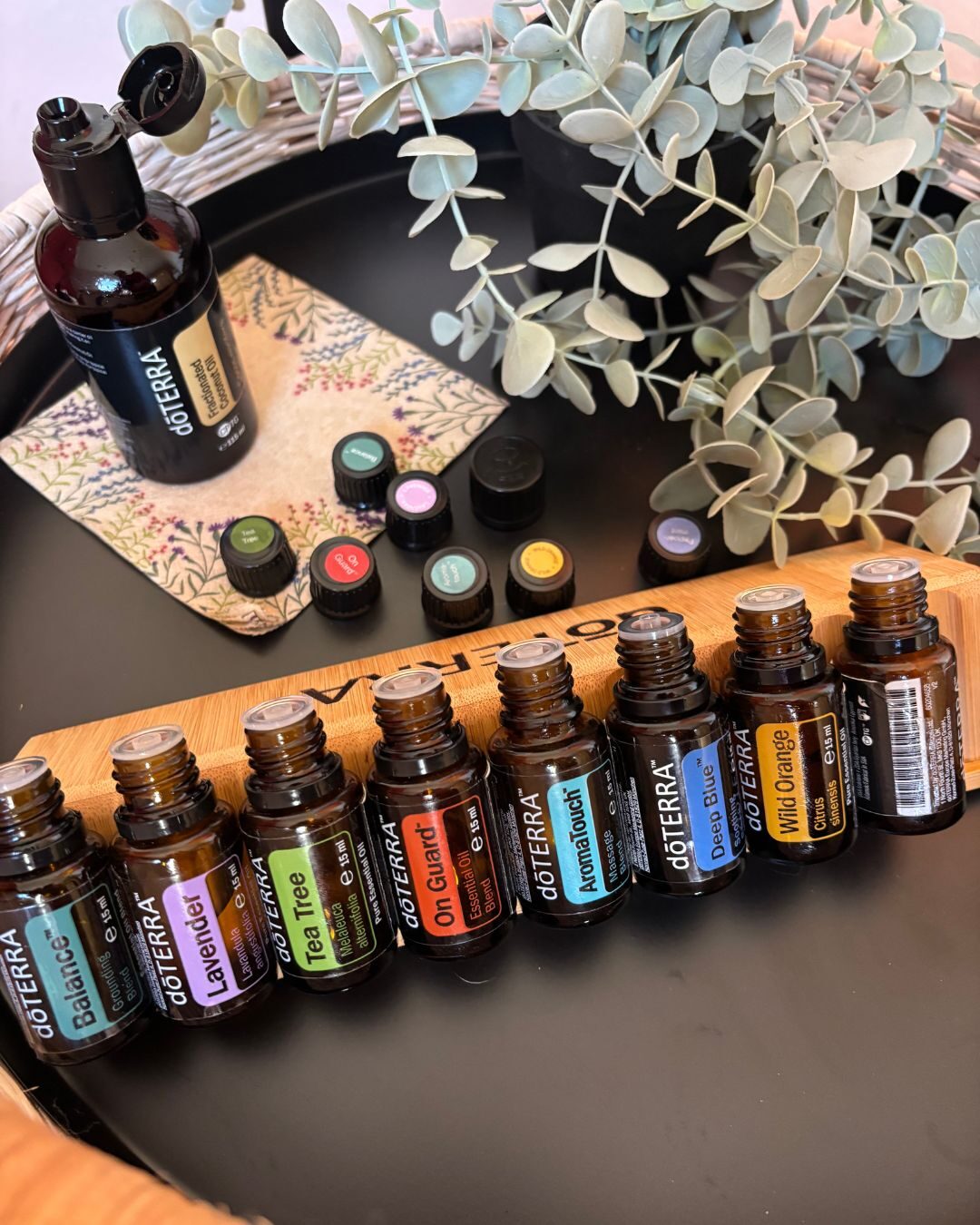 dōTERRA Ölreihe inklusive AromaTouch