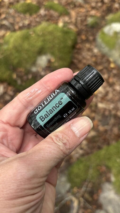 doTERRA Balance in der Hand, auf moosigem Untergrund