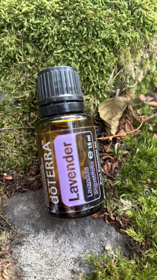 doTERRA Lavendel-Öl auf Moos