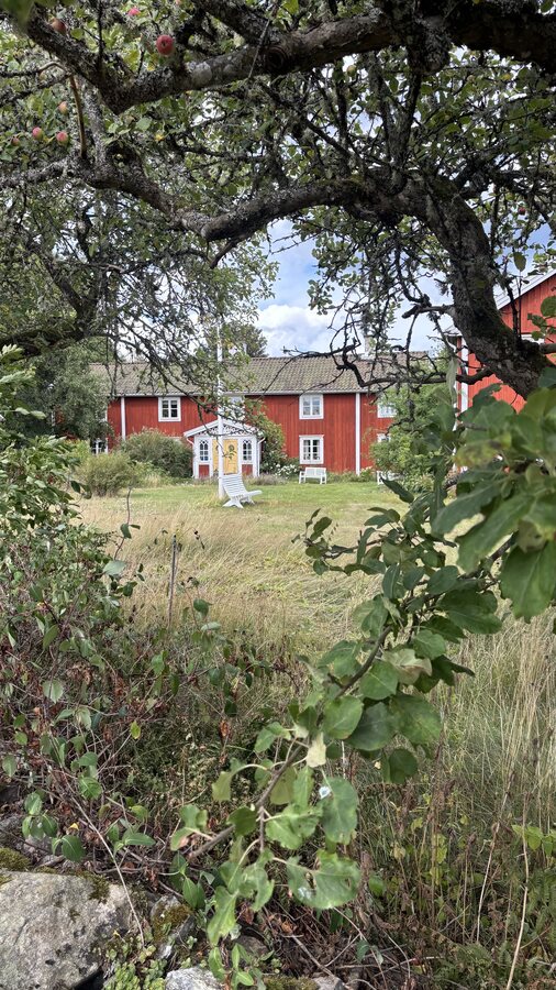 Rotes Schwedenhaus, gerahmt von Apfelbaum-Ästen