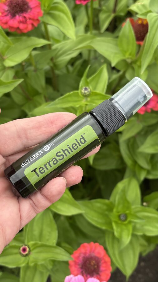 doTERRA TerraShield in der Hand