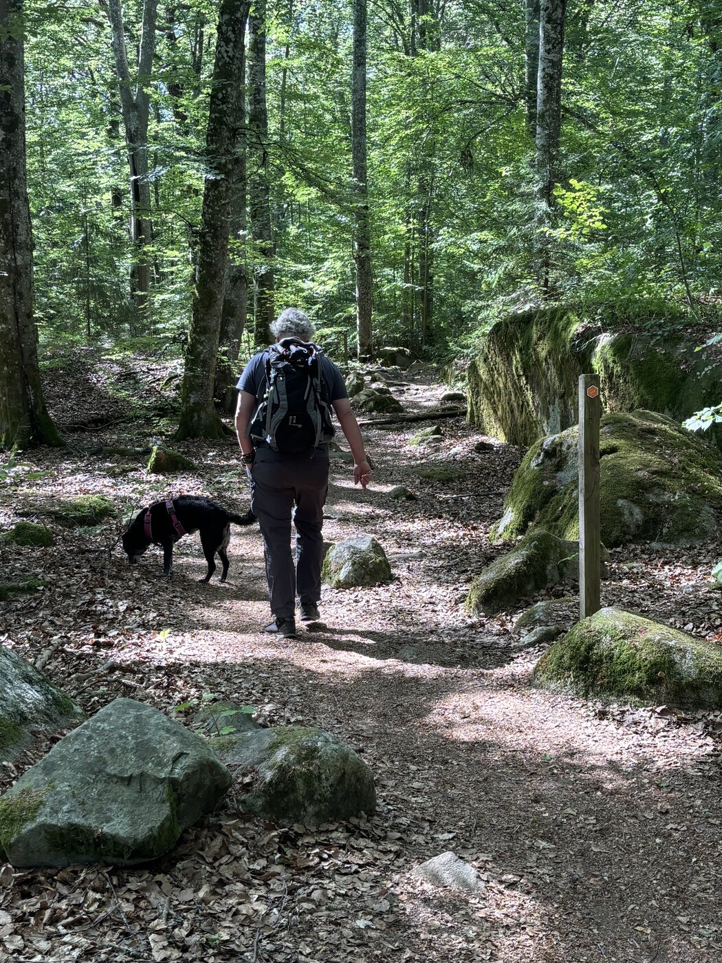 Johannes und Lucy auf einem Waldweg zwischen moosbewachsenen Findlingen