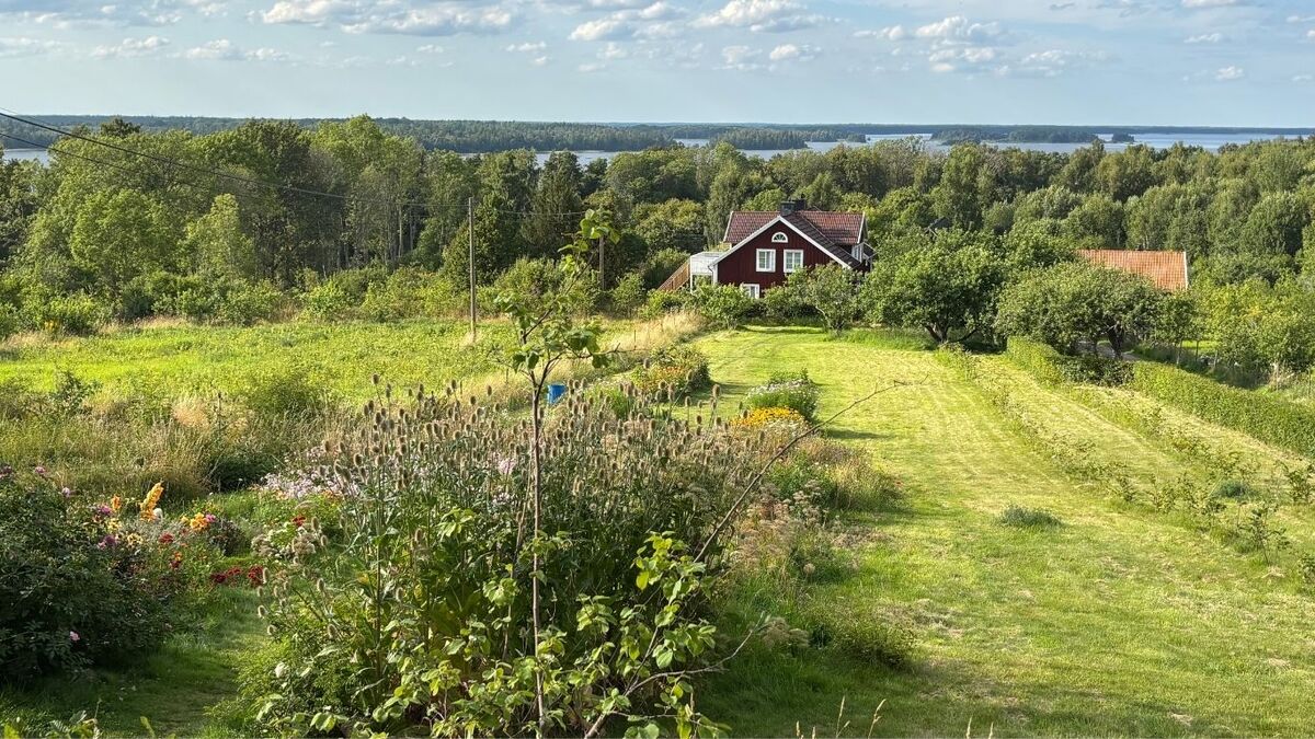 Rotes Schwedenhaus auf einer Wiese, im Hintergrund ein See