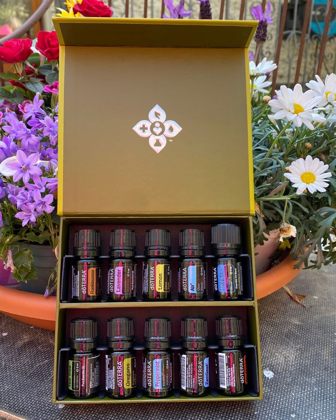 Geöffnetes dōTERRA Family-Kit mit ätherischen Ölen